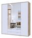 Распашной шкаф для одежды Hugo Doros цвет Тахо / Белый 2 двери ДСП / 2 Зеркала 200х52х219 (44900099)
